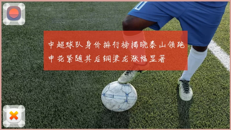中超球队身价排行榜揭晓泰山领跑申花紧随其后铜梁龙涨幅显著